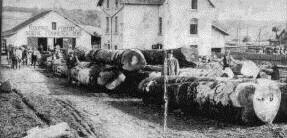Nicolas Duprel lumberyard