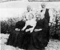 Theodore Mamer